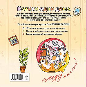 Kaķīši vieni mājās. Krāsojamā grāmata-antistress