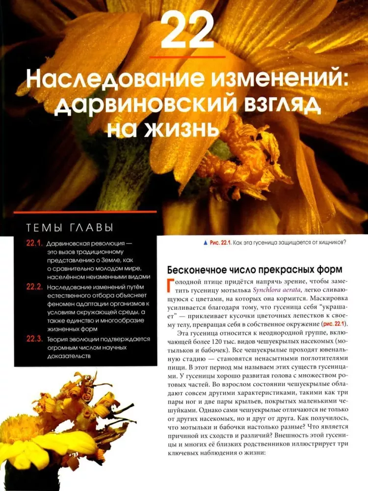 Biologia Campbell. Mechanizmy ewolucji. Ewolucja i bioróżnorodność. Roślinne formy życia. Tom 2