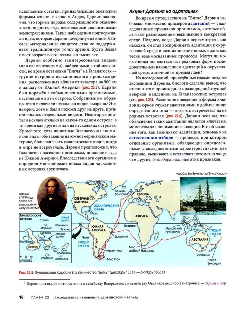 Biologia Campbell. Mechanizmy ewolucji. Ewolucja i bioróżnorodność. Roślinne formy życia. Tom 2