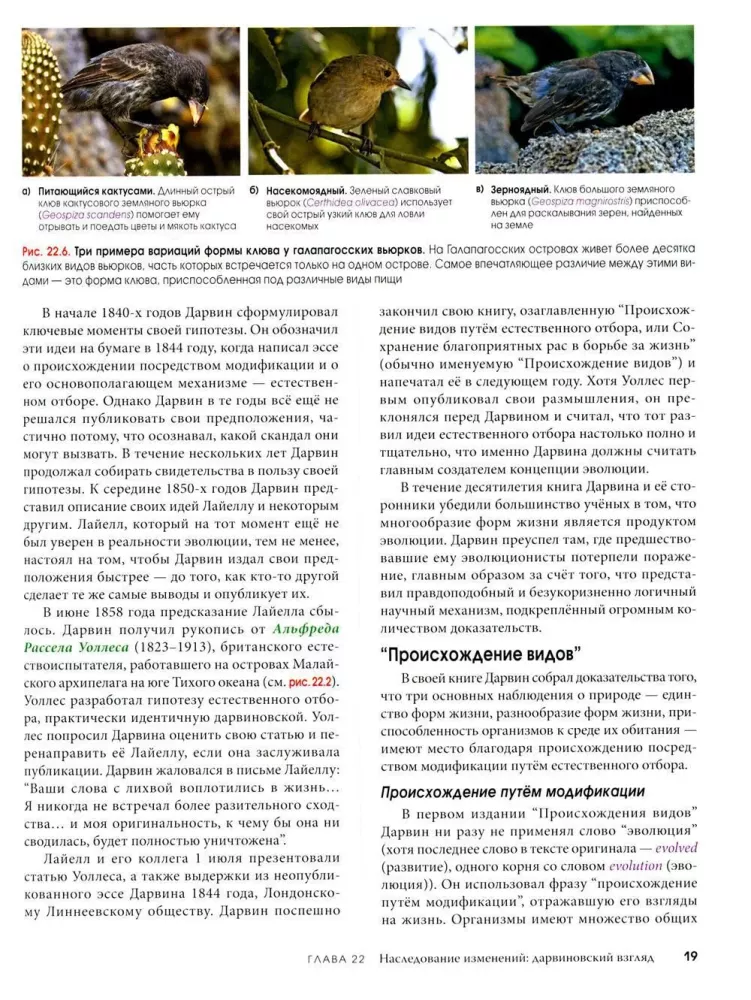 Biologia Campbell. Mechanizmy ewolucji. Ewolucja i bioróżnorodność. Roślinne formy życia. Tom 2