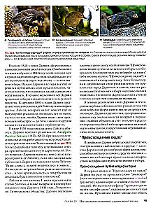 Biologia Campbell. Mechanizmy ewolucji. Ewolucja i bioróżnorodność. Roślinne formy życia. Tom 2