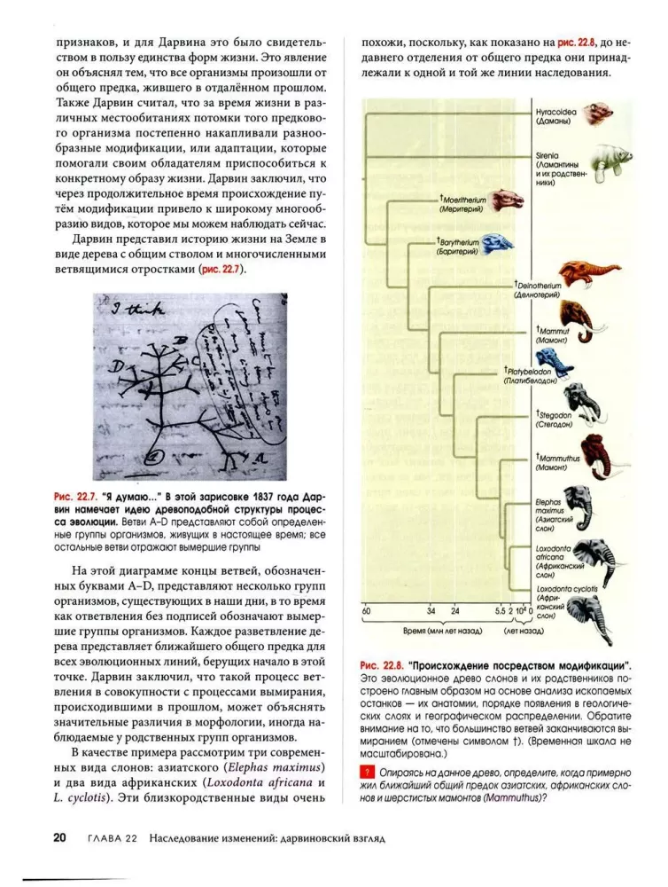 Biologia Campbell. Mechanizmy ewolucji. Ewolucja i bioróżnorodność. Roślinne formy życia. Tom 2