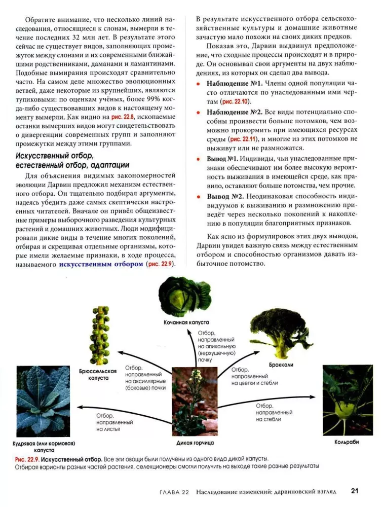 Biologia Campbell. Mechanizmy ewolucji. Ewolucja i bioróżnorodność. Roślinne formy życia. Tom 2
