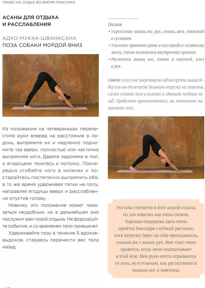 Mein Yoga-Tagebuch: Heilung von Körper und Geist in 4 Wochen
