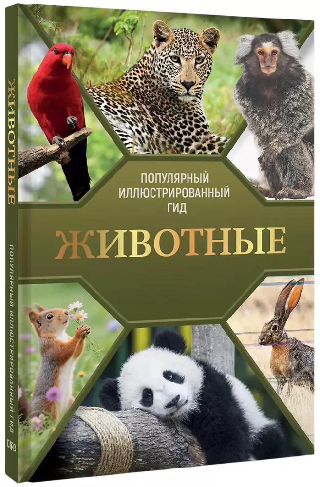 Dzīvnieki. Populārs ilustrēts ceļvedis