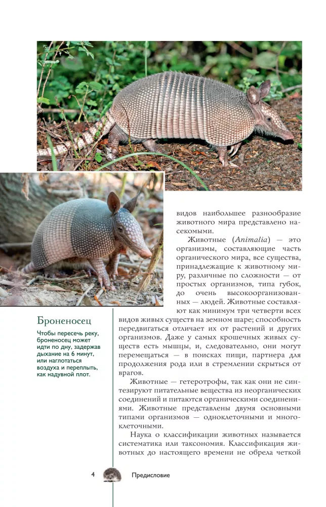 Dzīvnieki. Populārs ilustrēts ceļvedis