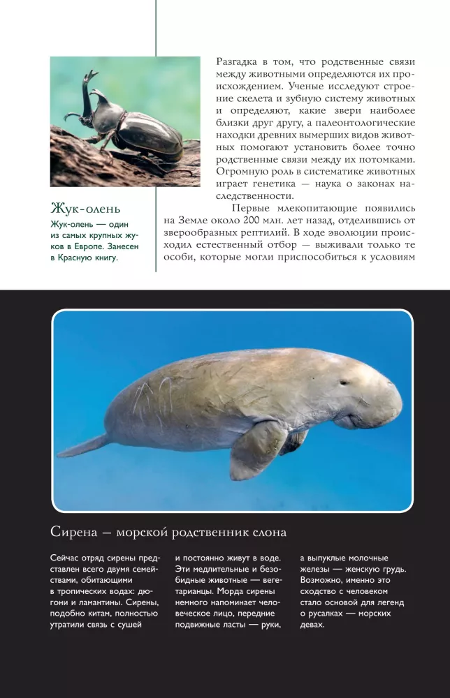 Dzīvnieki. Populārs ilustrēts ceļvedis