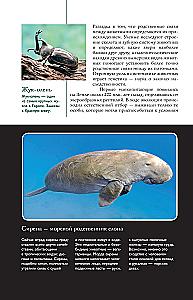 Dzīvnieki. Populārs ilustrēts ceļvedis