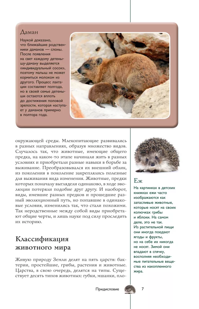 Dzīvnieki. Populārs ilustrēts ceļvedis