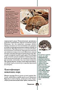 Dzīvnieki. Populārs ilustrēts ceļvedis