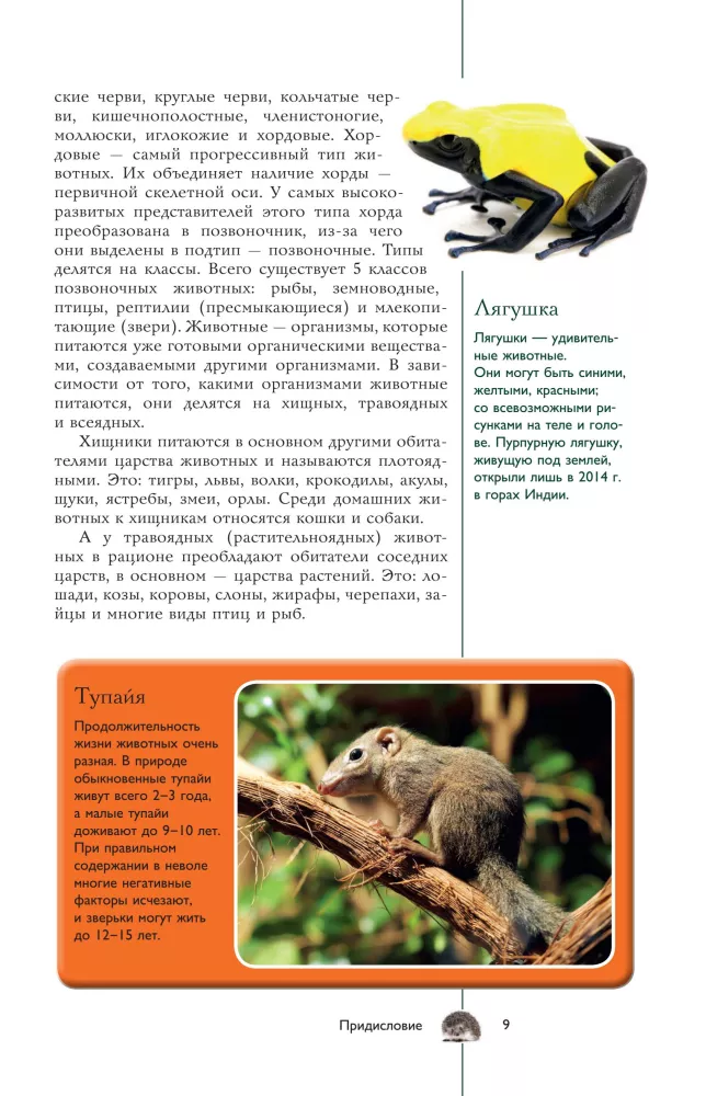 Dzīvnieki. Populārs ilustrēts ceļvedis