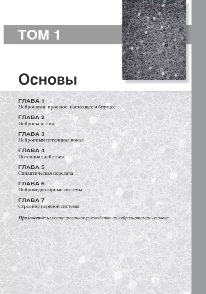 Neuroscience. Study of the Brain. Volume 1