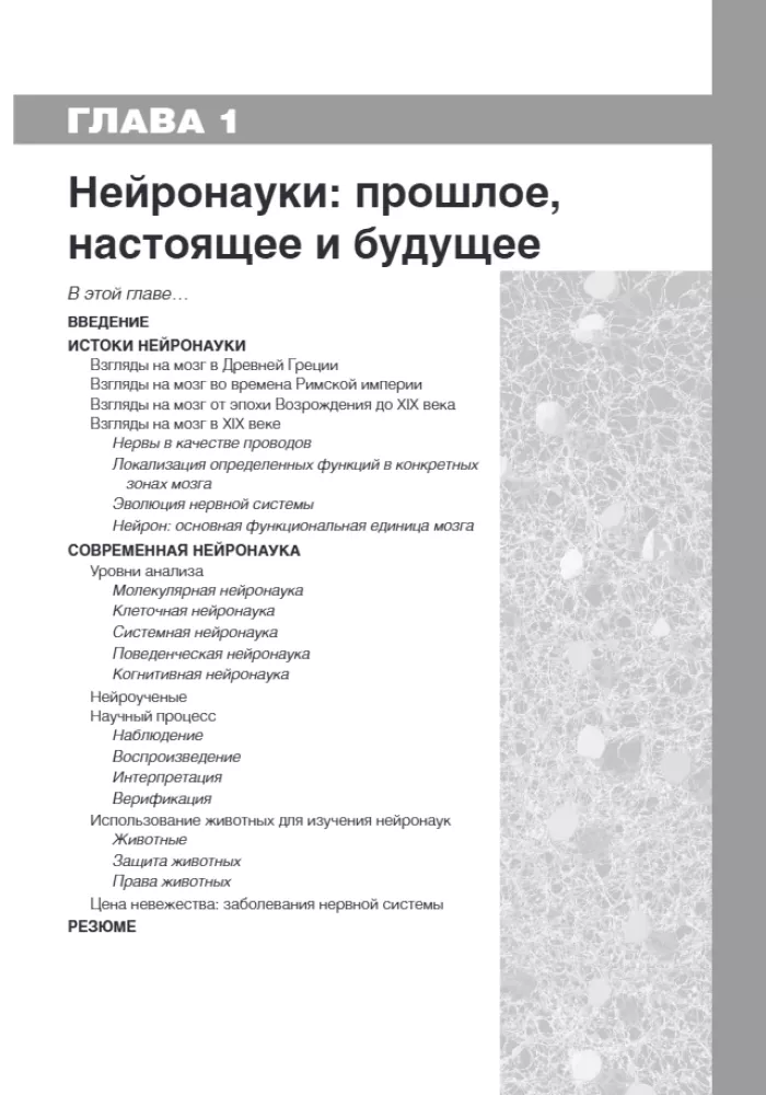 Neuroscience. Study of the Brain. Volume 1