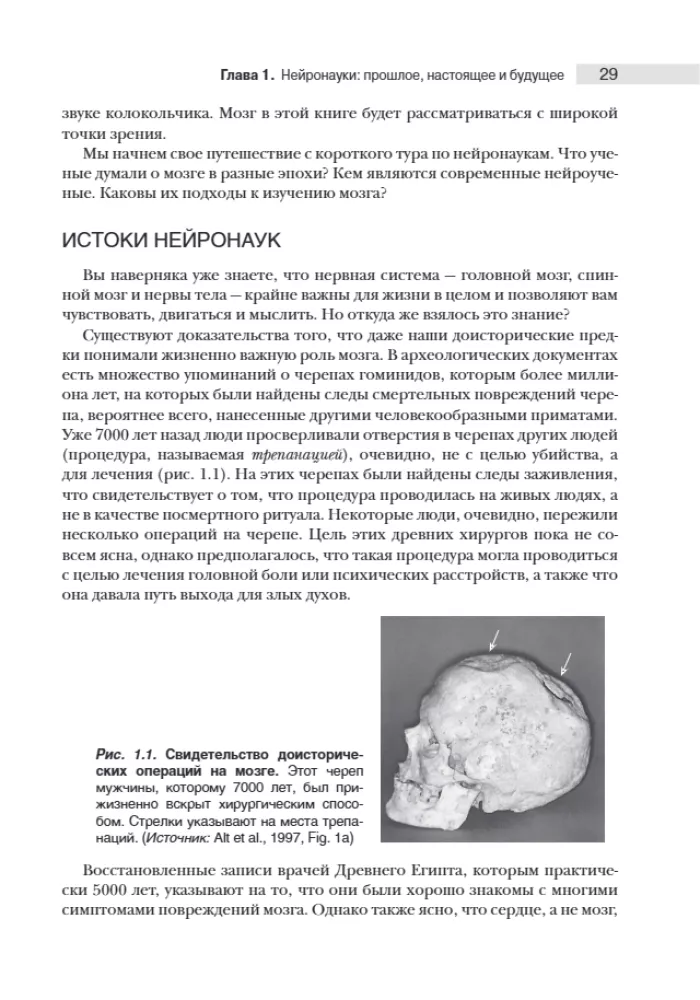 Neuroscience. Study of the Brain. Volume 1