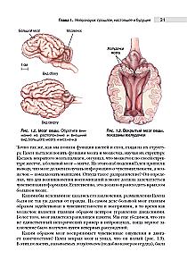 Neuroscience. Study of the Brain. Volume 1