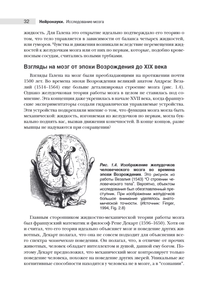 Neuroscience. Study of the Brain. Volume 1
