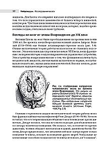 Neuroscience. Study of the Brain. Volume 1