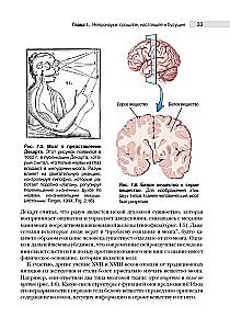Neuroscience. Study of the Brain. Volume 1