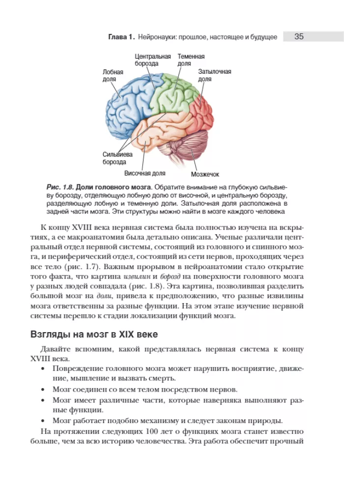 Neuroscience. Study of the Brain. Volume 1