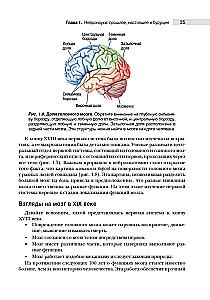 Neuroscience. Study of the Brain. Volume 1