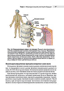 Neuroscience. Study of the Brain. Volume 1