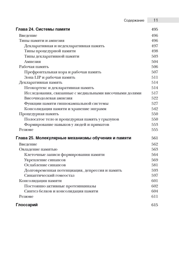 Neuroscience. Study of the Brain. Volume 3