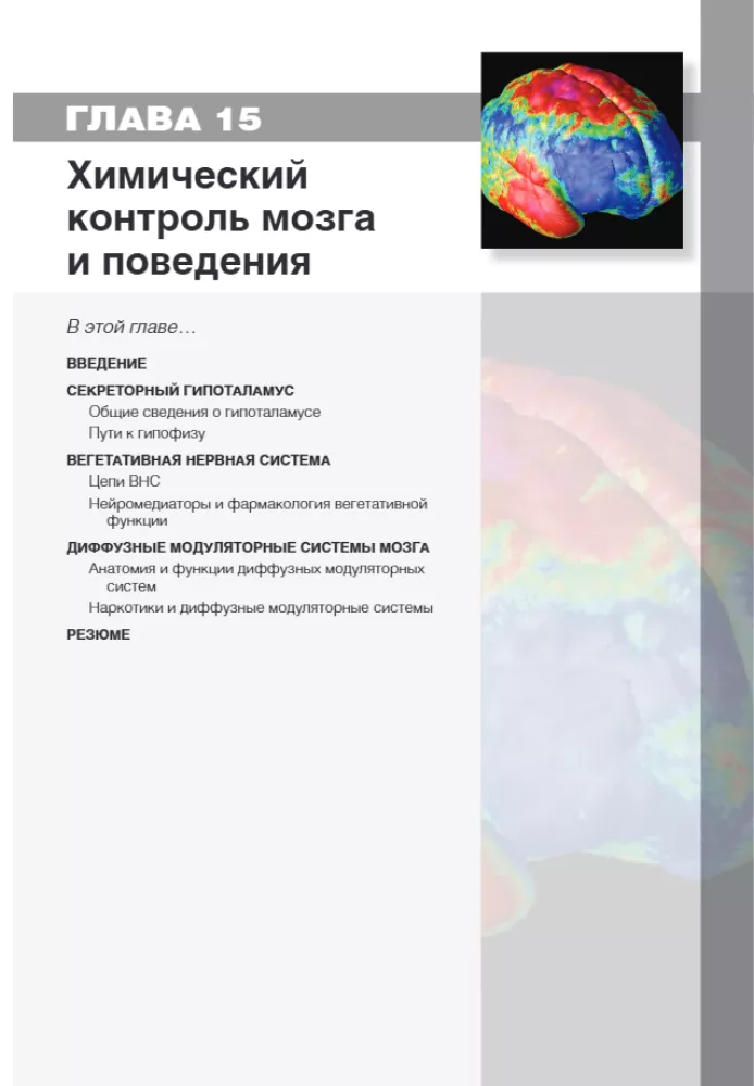 Neuroscience. Study of the Brain. Volume 3