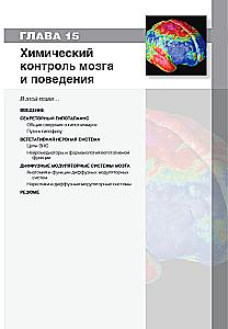 Neuroscience. Study of the Brain. Volume 3