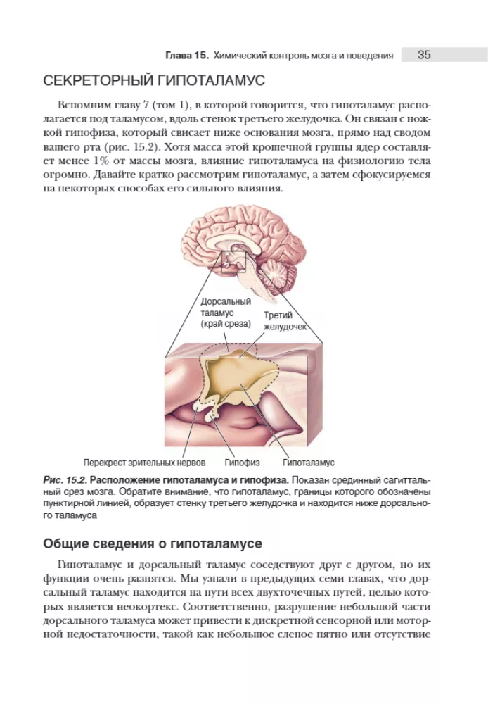Neuroscience. Study of the Brain. Volume 3