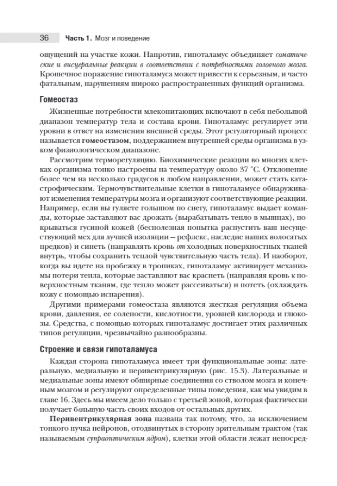 Neuroscience. Study of the Brain. Volume 3