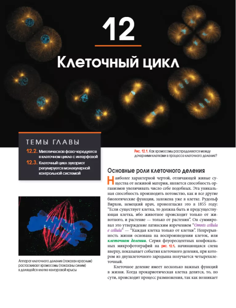Campbell Biology. Chemistry of Life. Cell. Genetics. Volume 1