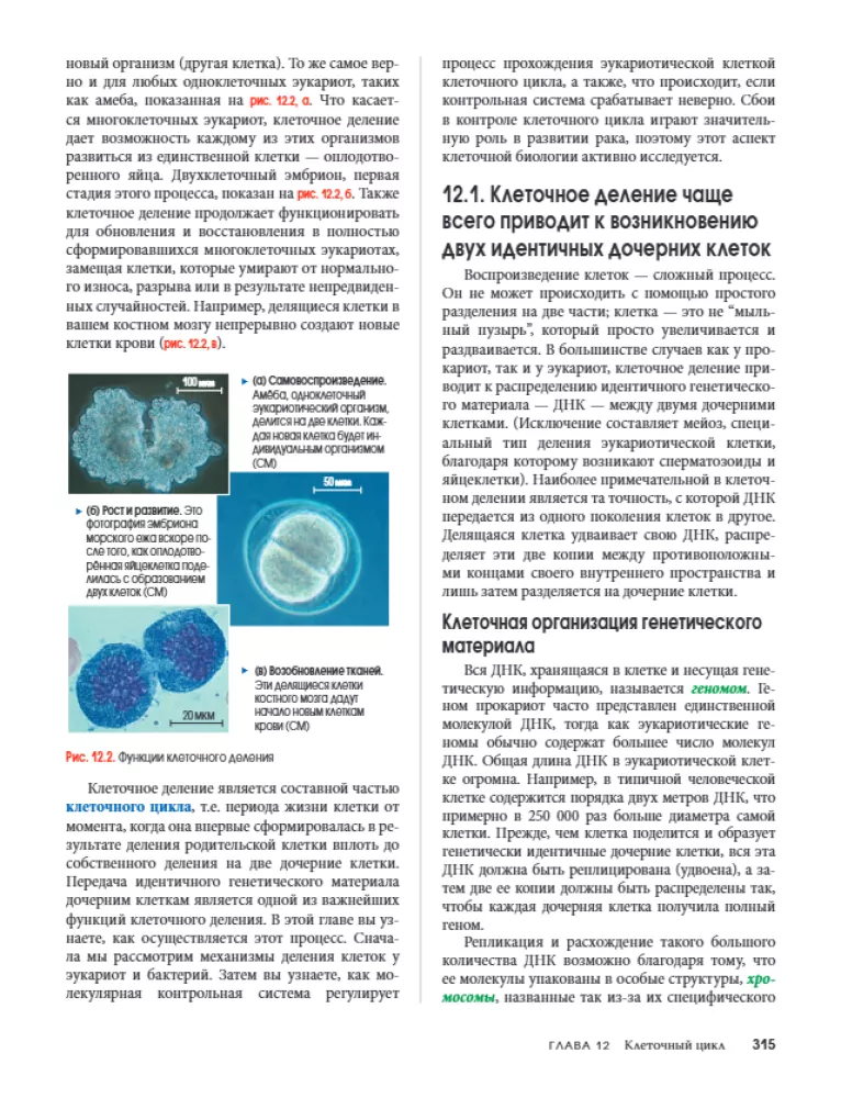 Campbell Biology. Chemistry of Life. Cell. Genetics. Volume 1