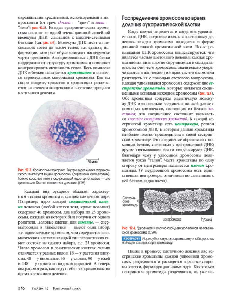 Campbell Biology. Chemistry of Life. Cell. Genetics. Volume 1