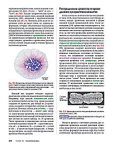 Campbell Biology. Chemistry of Life. Cell. Genetics. Volume 1