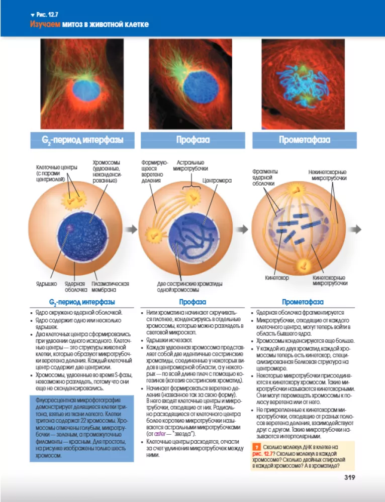 Campbell Biology. Chemistry of Life. Cell. Genetics. Volume 1