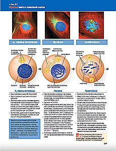 Campbell Biology. Chemistry of Life. Cell. Genetics. Volume 1