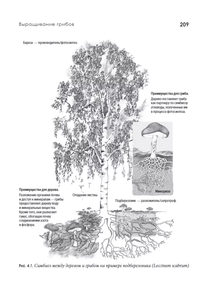 Permaculture of Sepp Holzer
