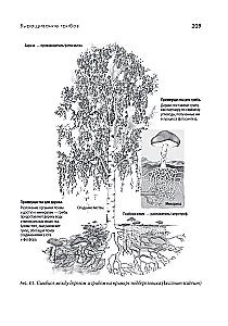 Permaculture of Sepp Holzer