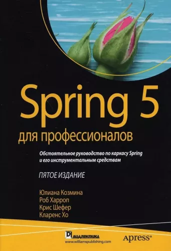 Spring 5 für Profis