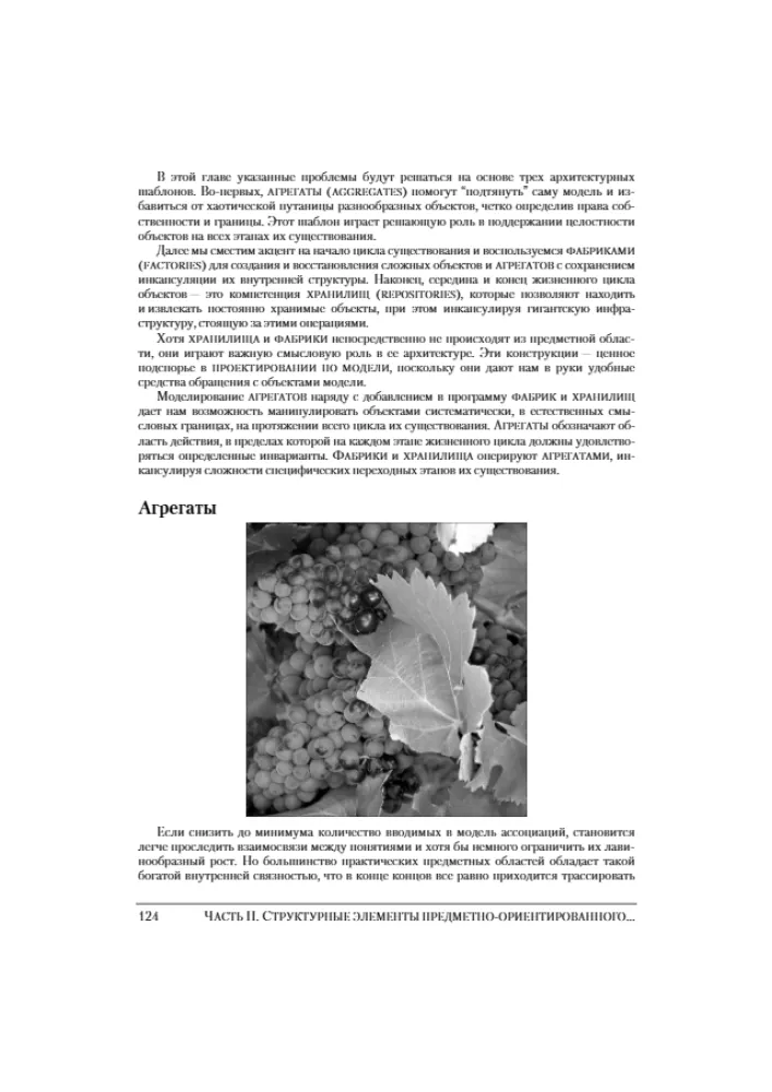 Domänenorientierte Gestaltung (DDD). Strukturierung komplexer Softwaresysteme — Foto 9