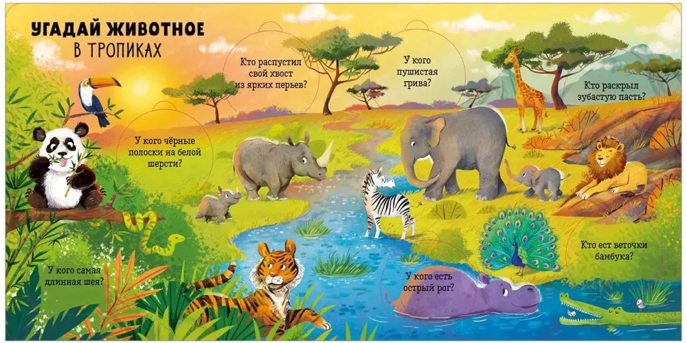 Encyclopedia with Windows. Animals
