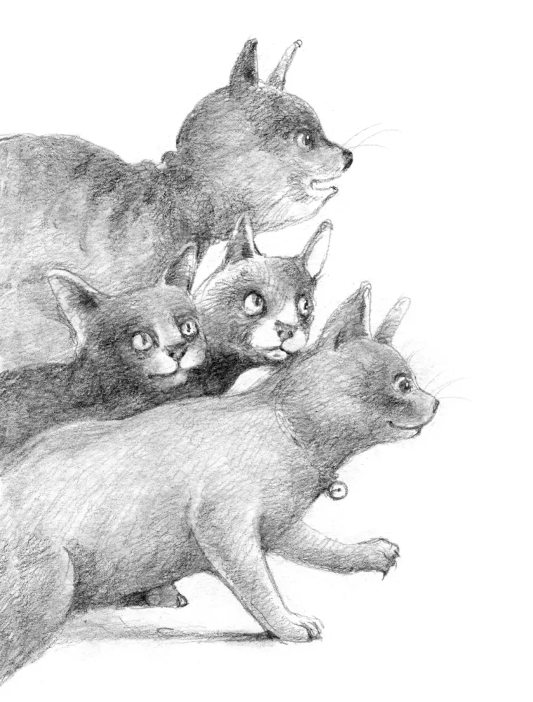 Кот Тихон, или Похищение Голландца — фото 4