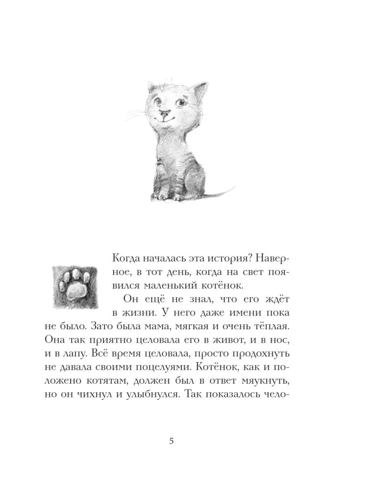 Кот Тихон, или Похищение Голландца — фото 5