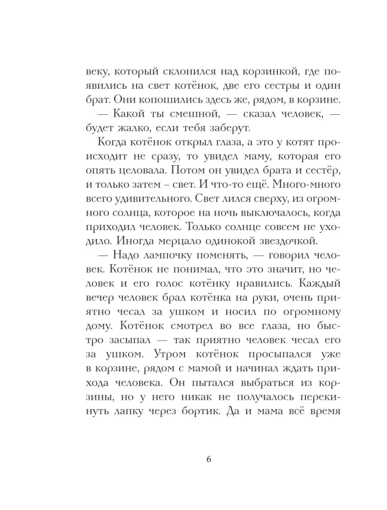 Кот Тихон, или Похищение Голландца — фото 6