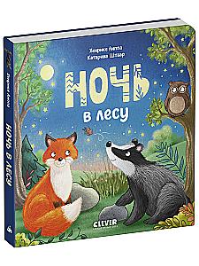 Night in the Forest