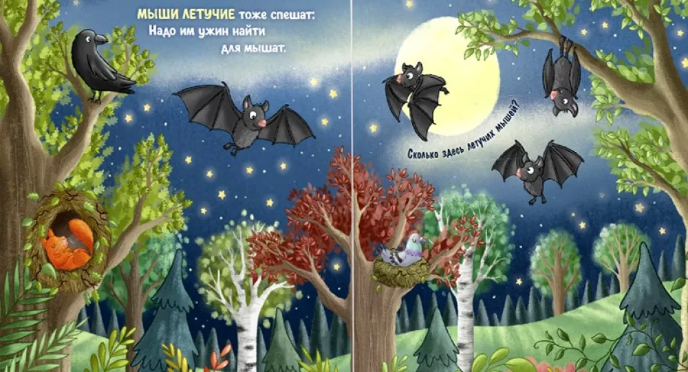 Night in the Forest