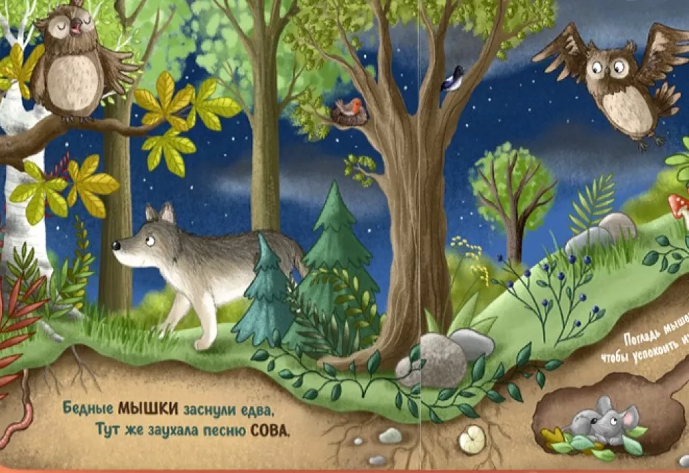 Night in the Forest