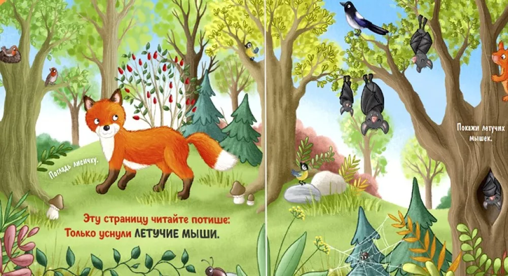 A Day in the Forest