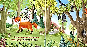 A Day in the Forest