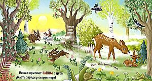 A Day in the Forest
